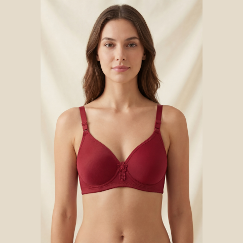 Daily wear Light Padded Push-Up Bra